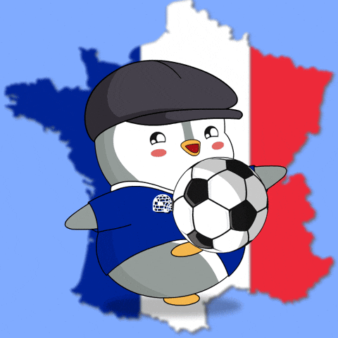 France Football GIF by Pudgy Penguins