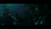 lincoln center dance GIF by New York City Ballet