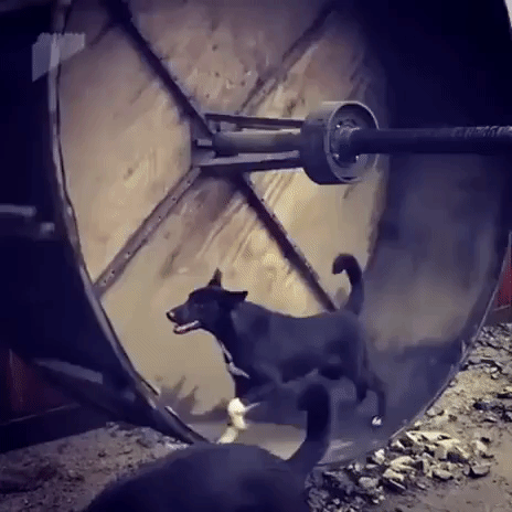 satisfying GIF
