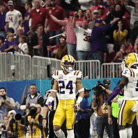 Ncaa Football GIF by LSU Tigers