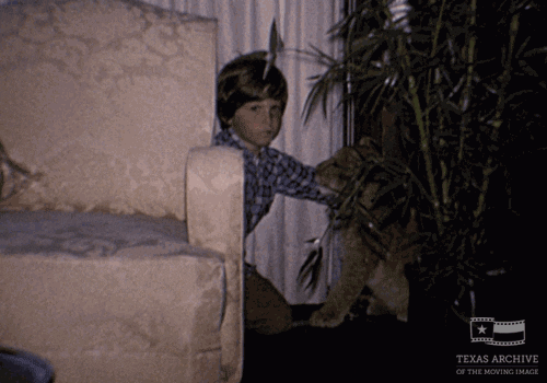home movie lion GIF by Texas Archive of the Moving Image