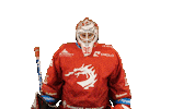 Ice Hockey Sticker Sticker by HC Oceláři Třinec