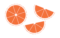 sport halftime Sticker by NETFIT Netball
