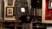 pawnstars GIF by History UK