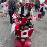 Cute Cat Steals the Show at Canada Day Celebration