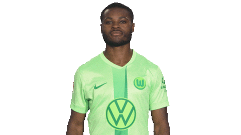 Pondering Germany Sticker by VfL Wolfsburg