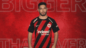 Eintracht Frankfurt GIF by Bundesliga