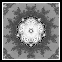 Loop Nft GIF by xponentialdesign