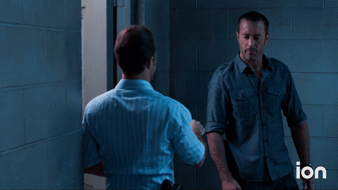 Steve Mcgarrett Fist Bump GIF by ION