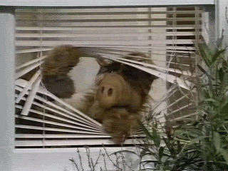 history channel GIF