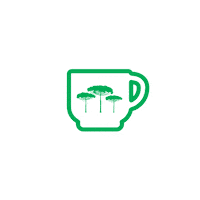 pinhalmadeiras obra bomdia projeto madeira Sticker