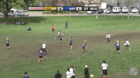 flikulti ultimate frisbee flik GIF