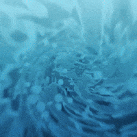 Pokemon Ao GIF by Overtime