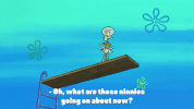 season 10 episode 6 GIF by SpongeBob SquarePants