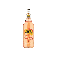 Cider Cornwall Sticker by Rattler Cyder