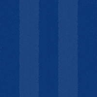 Goal Scoring GIF by Odense Boldklub