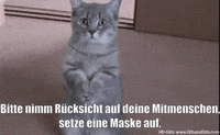 Cat Obb GIF by ÖBB | Österreichische Bundesbahnen