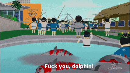 miami dolphins GIF