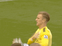 joe hart GIF by Manchester City