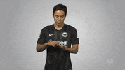 Eintracht Frankfurt Football GIF by Bundesliga