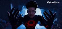 Spider-Man Spiderverse Movie GIF by Spider-Man: Across The Spider-Verse