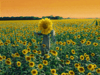 Flowers Dancing GIF by Missio