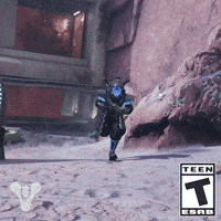 Destiny 2 Hunter GIF by DestinyTheGame