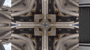 Art Film GIF by jorgemariozuleta