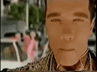 Arnold Schwarzenegger Wtf Japan GIF by Jason Clarke