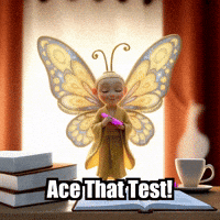 Study Exams GIF by BuddhaFlyJourney