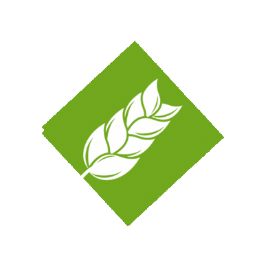 SementesWebber giphygifmaker agro agricultura agronegocio Sticker