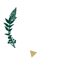 Christmas Arrow Sticker by Marionnaud Paris
