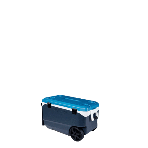 LapaLow giphyupload cerveja lapa lapalow Sticker