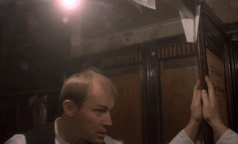 Film Mirror GIF