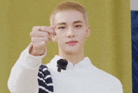 Tommy Hilfiger Stray Kids GIF