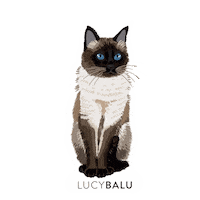 Cat Sticker by LucyBalu