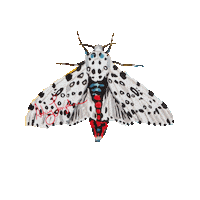 Magic Yas Sticker by Ashley Longshore