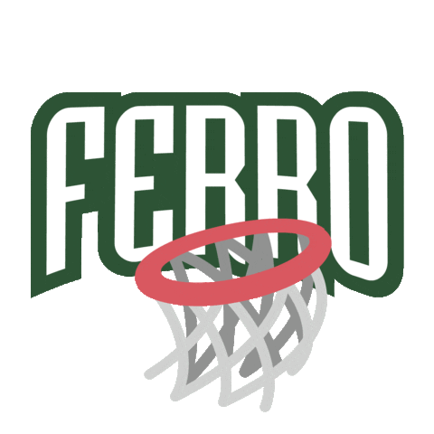 Ferrobasquet Sticker by FerroOficial