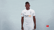 Happy Borussia Moenchengladbach GIF by Bundesliga