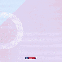 Football Soccer GIF by skysports