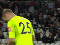happy west ham GIF by West Ham United