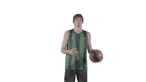 Liga Endesa Basketball Sticker by ACB