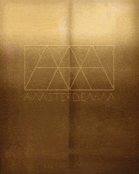 Amsterdenim elevator amsterdenim douwe douwe bob GIF
