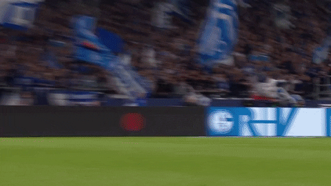 Happy Football GIF by FC Schalke 04