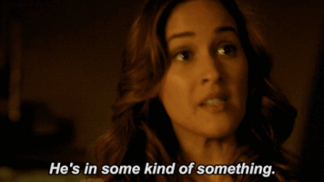 fox tv villa GIF by Rosewood