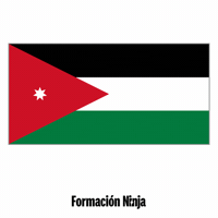 Flag Jordan GIF by Formación Ninja