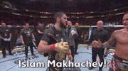 Mixed Martial Arts Sport GIF by UFC