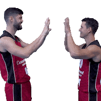 Liga Endesa Win Sticker by ACB