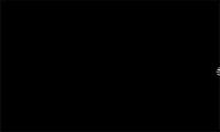 black cat ghost GIF by Maudit