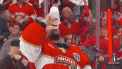 Stanley Cup Playoffs Win GIF by NHL